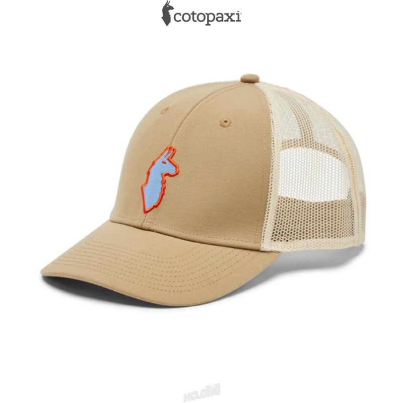 Cotopaxi Llama Trucker Hat Desert | ZT40-L2-UW