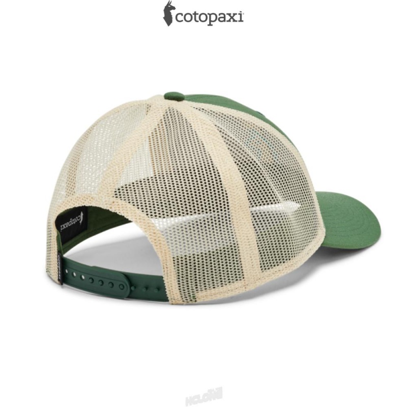 Cotopaxi Llama Trucker Hat Forest | PQ17-C7-MQ