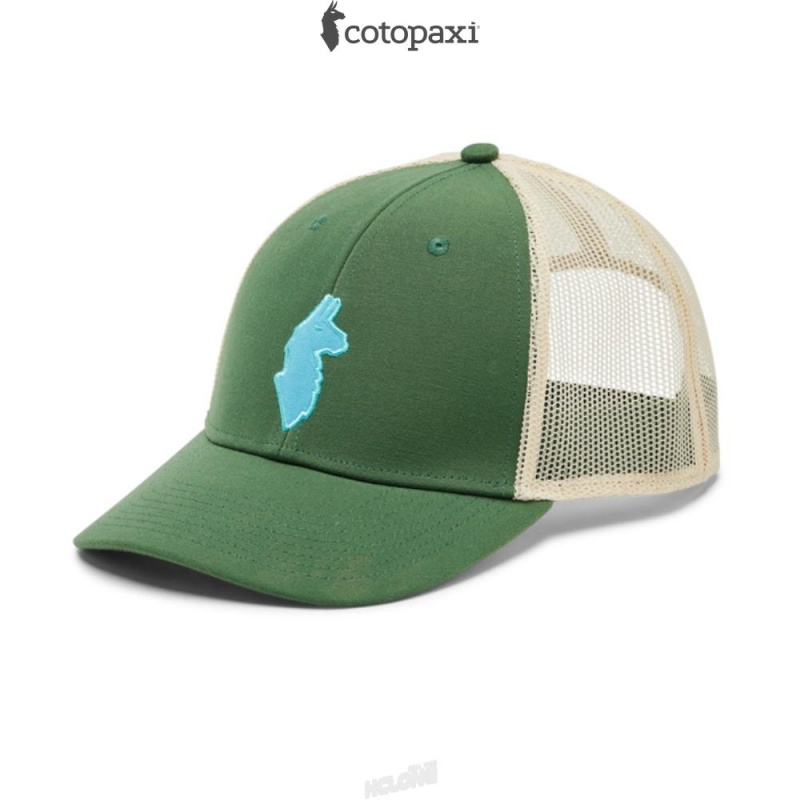 Cotopaxi Llama Trucker Hat Forest | PQ17-C7-MQ