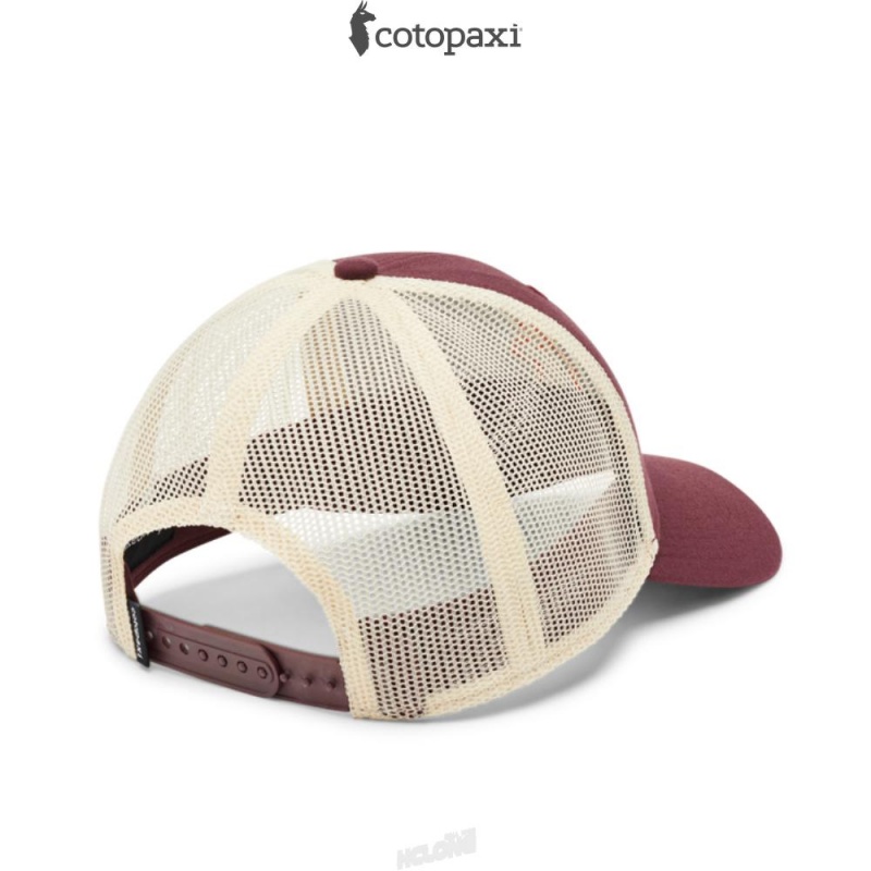 Cotopaxi Llama Trucker Hat Wine | NM49-O4-BY