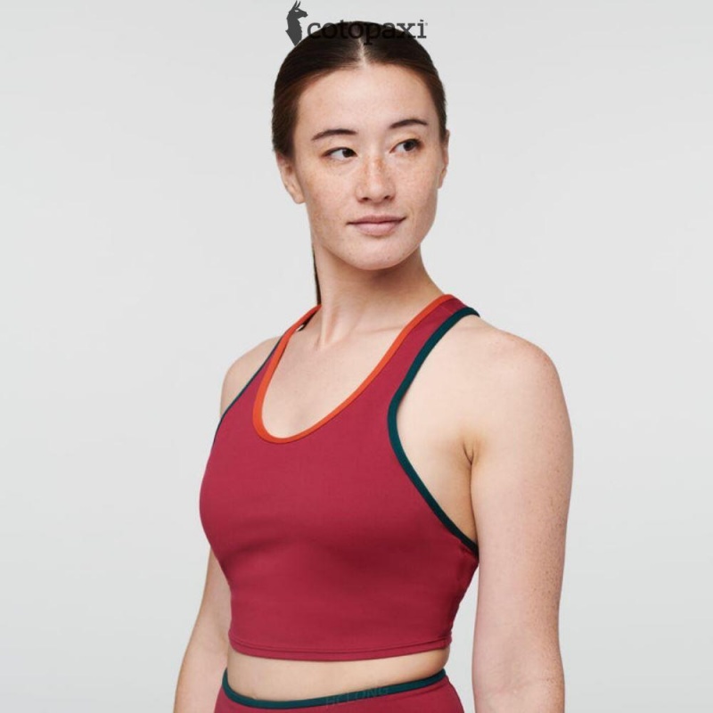 Cotopaxi Mari Crop Top Deep Ocean | JO86-Y4-SS