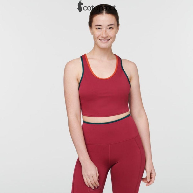 Cotopaxi Mari Crop Top Deep Ocean | JO86-Y4-SS