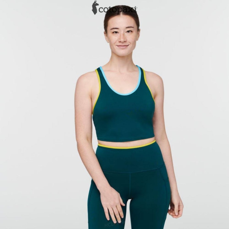 Cotopaxi Mari Crop Top Deep Ocean | RH02-W1-XC