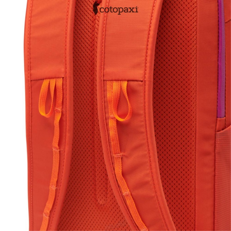 Cotopaxi Moda 20L Backpack - Cada Día Canyon | KU78-G1-EN