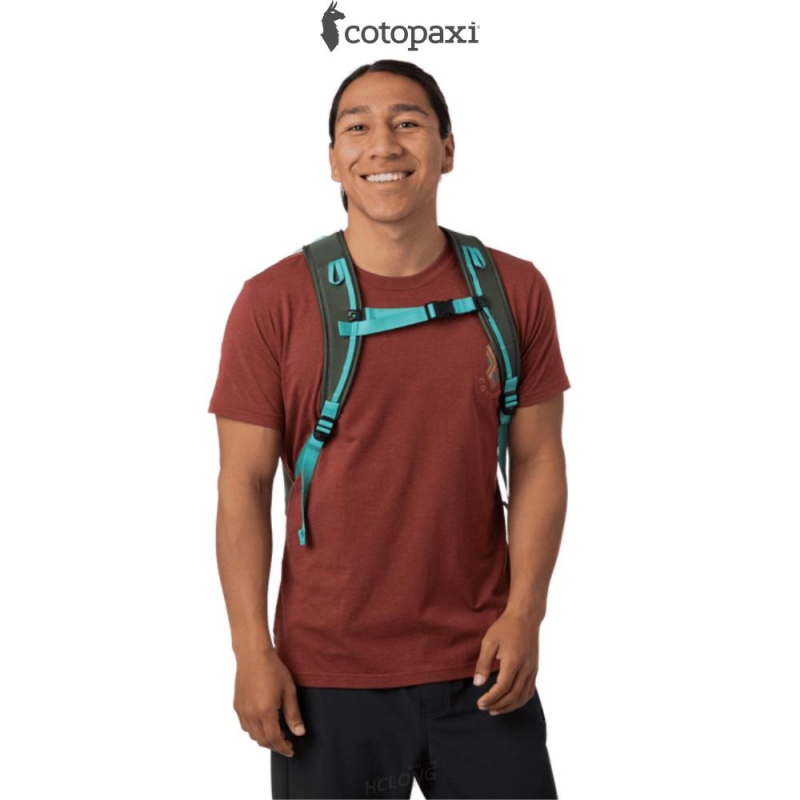 Cotopaxi Moda 20L Backpack - Cada Día Spruce | AI70-U4-ZZ