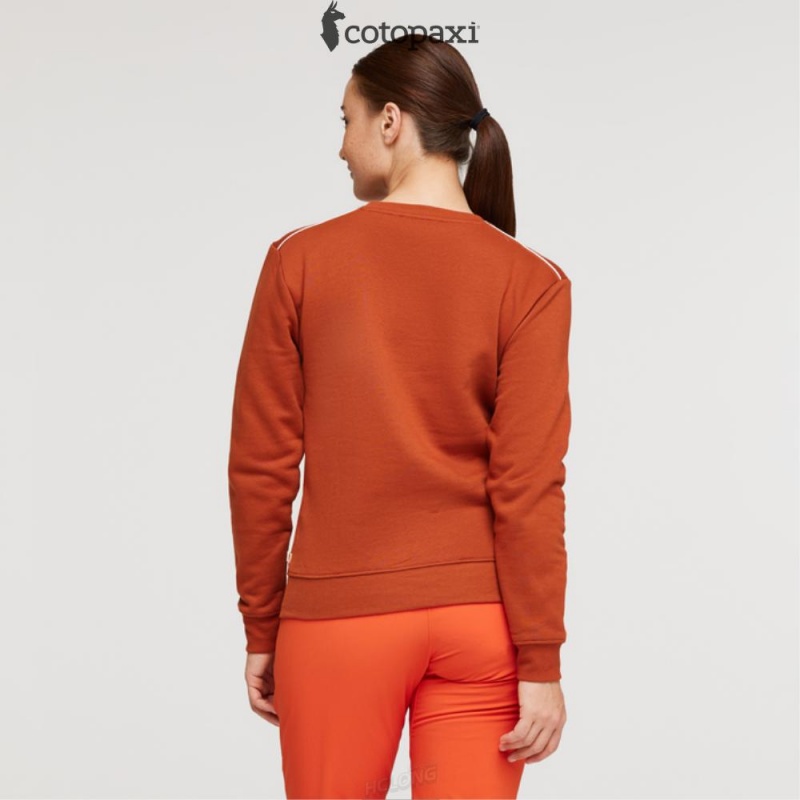 Cotopaxi On The Horizon Crew Sweatshirt Spice | IH61-F2-NC