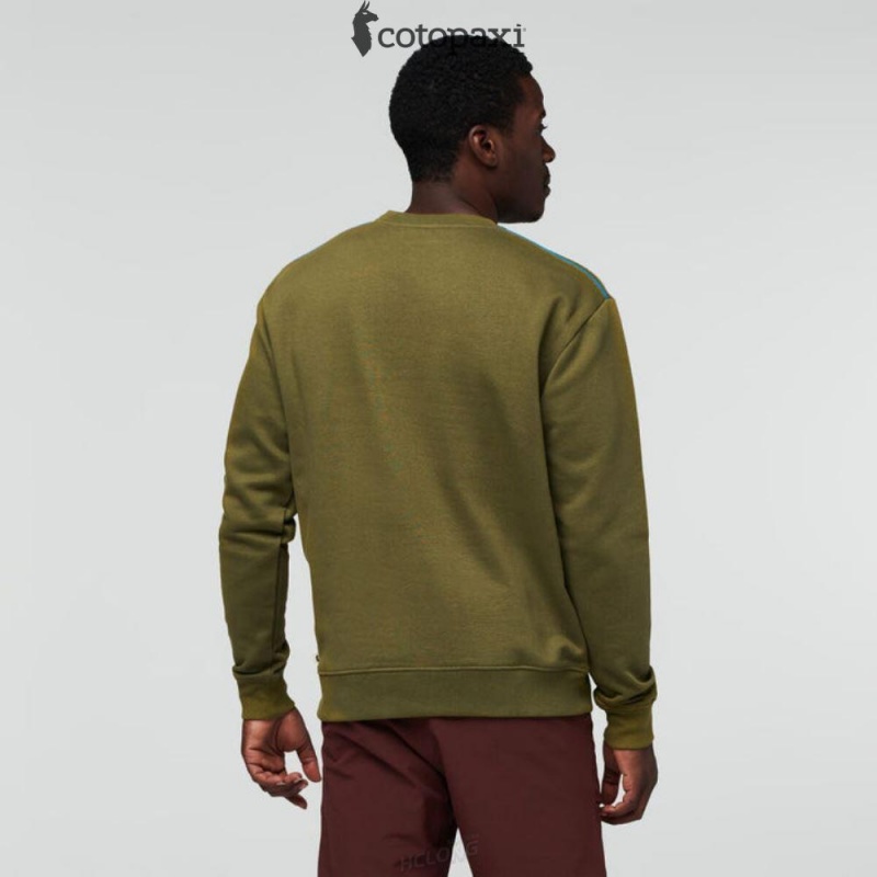 Cotopaxi On The Horizon Crew Sweatshirt Oak | SY30-W0-ZI