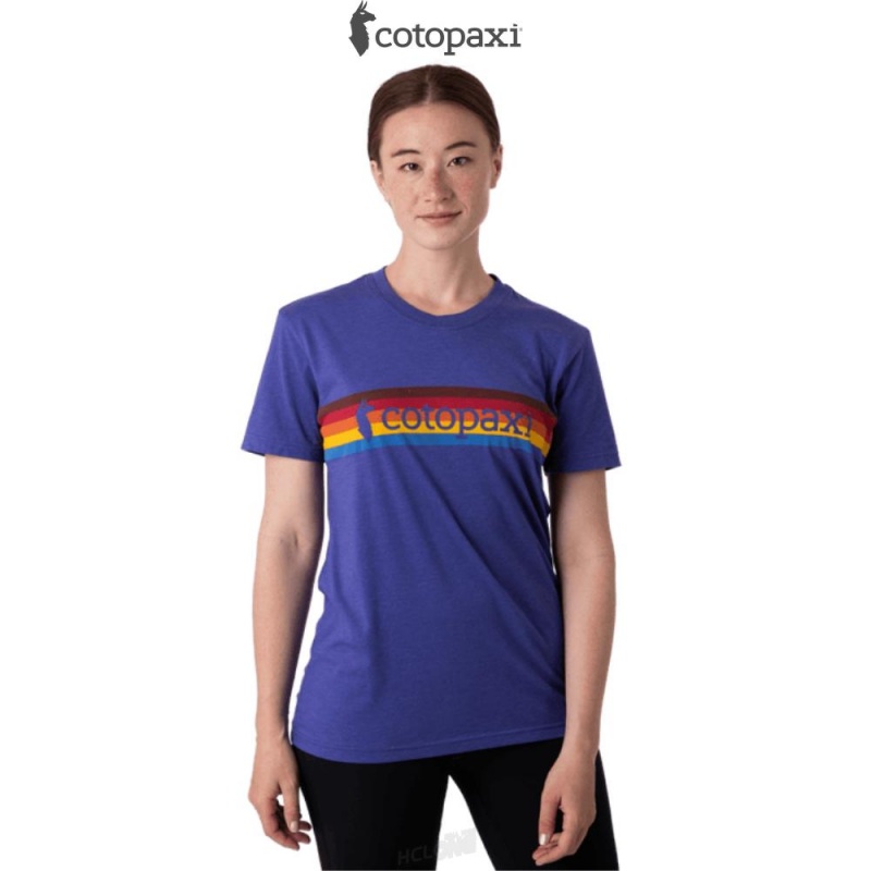 Cotopaxi On The Horizon T-Shirt Blue Violet | EB75-A3-UT