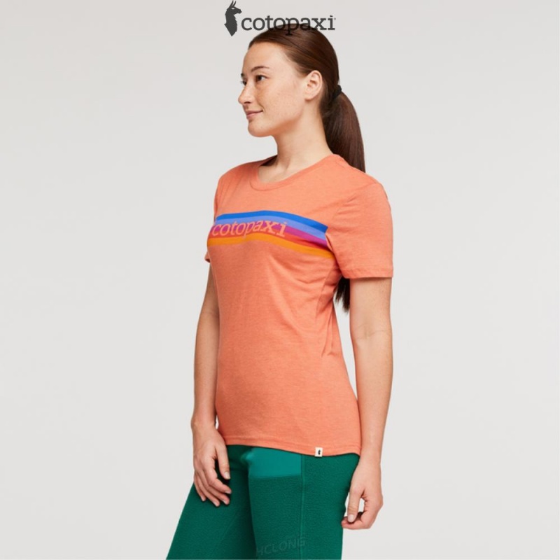 Cotopaxi On The Horizon T-Shirt Nectar | CI44-Y4-UL