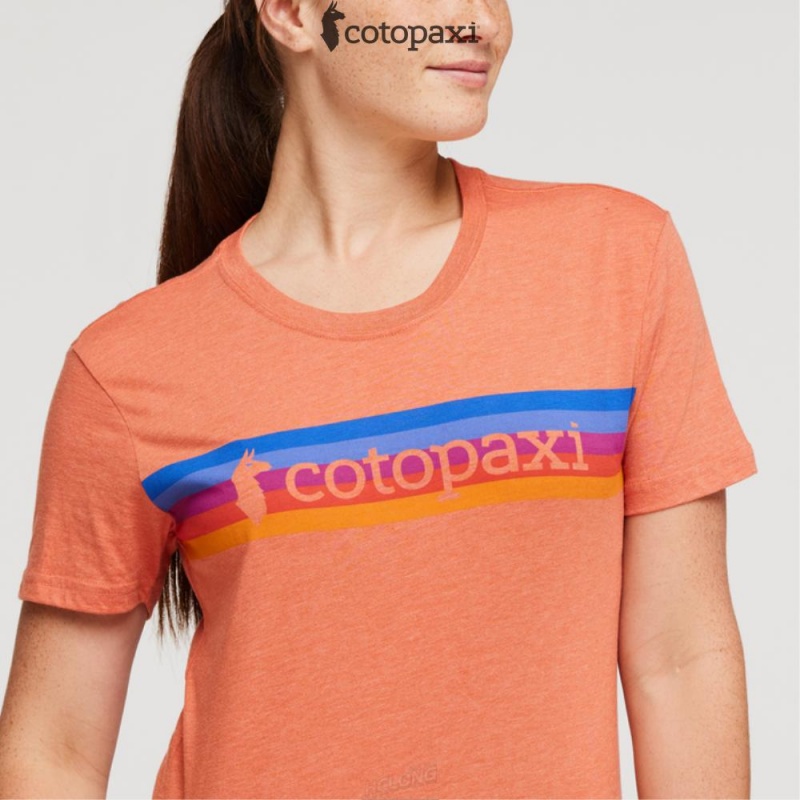 Cotopaxi On The Horizon T-Shirt Nectar | CI44-Y4-UL