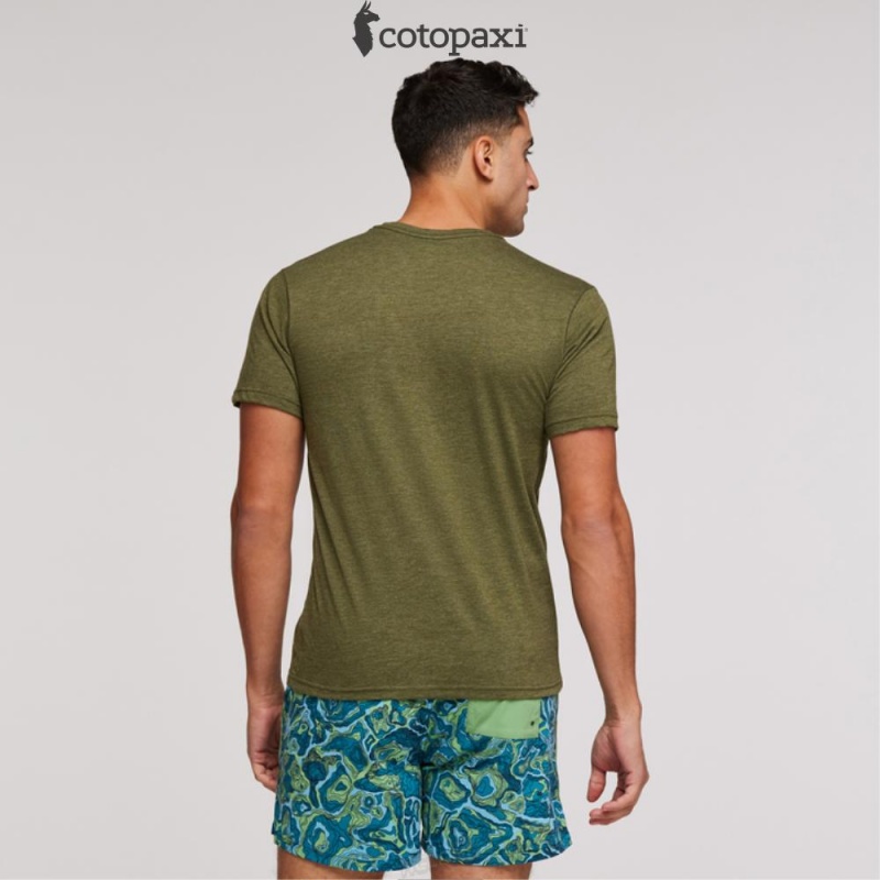 Cotopaxi On The Horizon T-Shirt Pine | ON85-V3-VJ