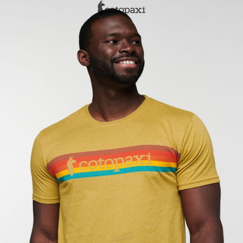 Cotopaxi On The Horizon T-Shirt Pine | SE91-Y2-CX