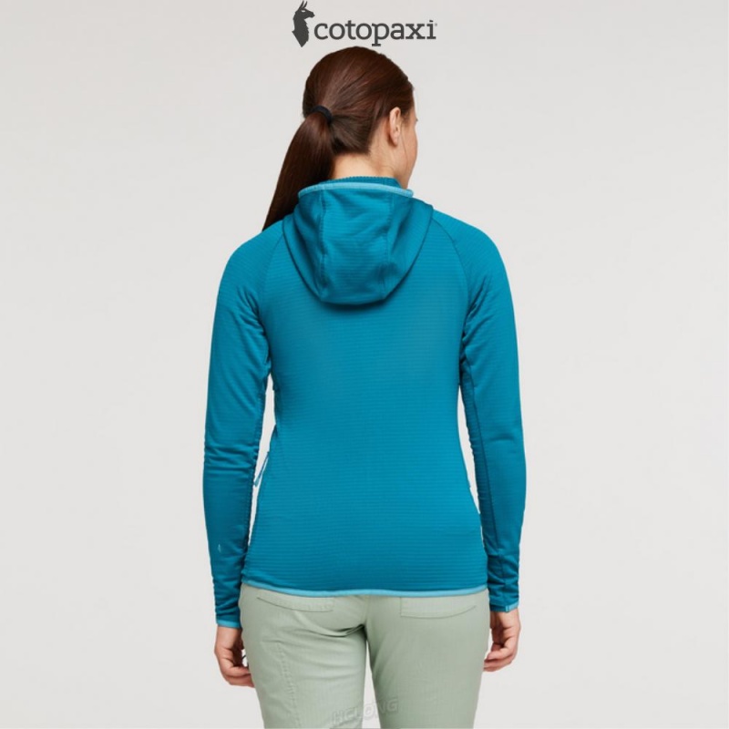 Cotopaxi Otero Fleece Full-Zip Hooded Jacket Gulf | JM12-W5-QP