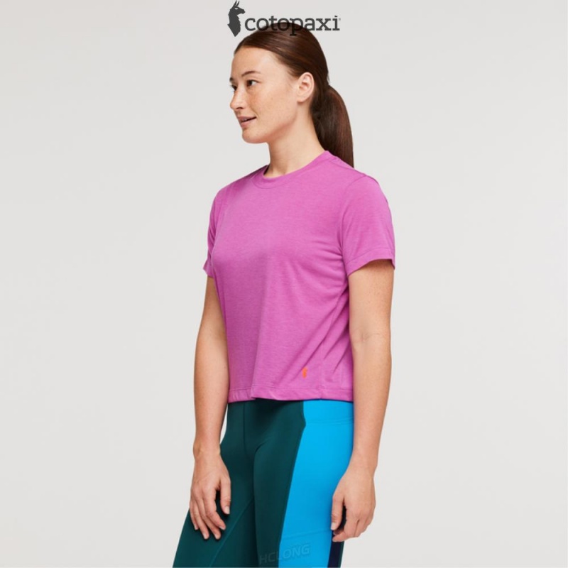 Cotopaxi Paseo Travel Crop T-Shirt Foxglove | SM44-P2-TC