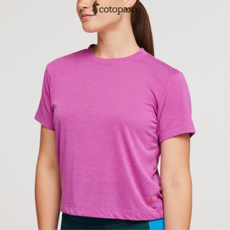 Cotopaxi Paseo Travel Crop T-Shirt Foxglove | SM44-P2-TC