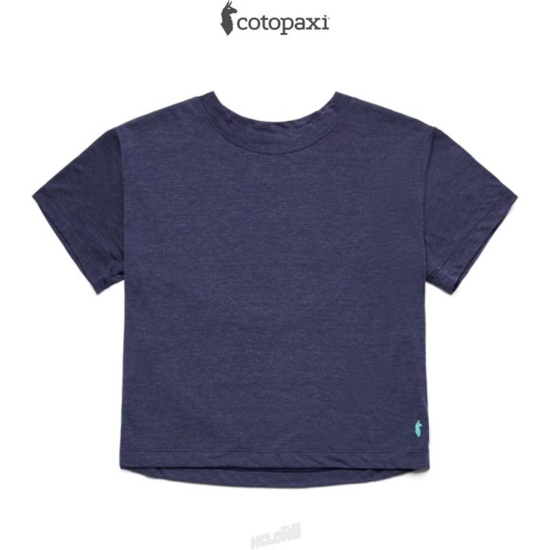 Cotopaxi Paseo Travel Crop T-Shirt Maritime | IE24-M0-WG