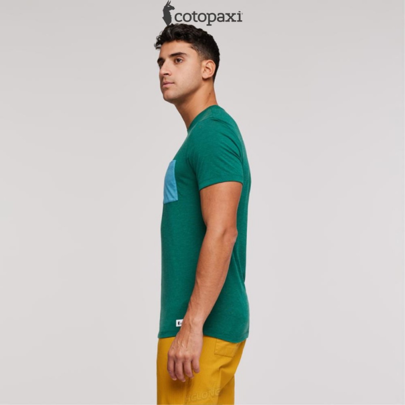 Cotopaxi Paseo Travel Pocket T-Shirt Greenery | LX45-H4-UL