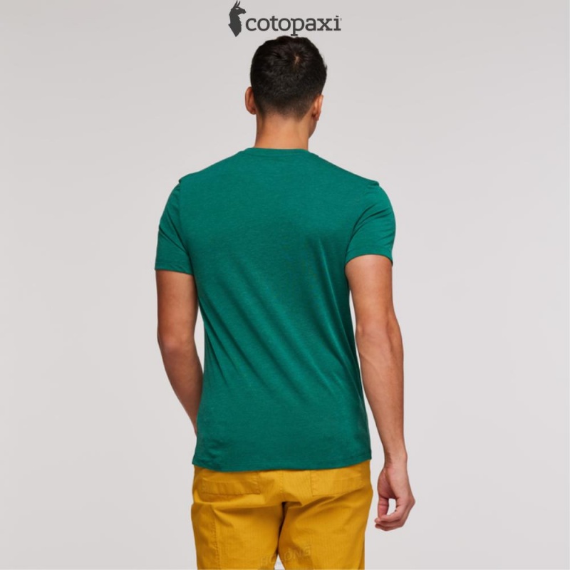 Cotopaxi Paseo Travel Pocket T-Shirt Greenery | LX45-H4-UL