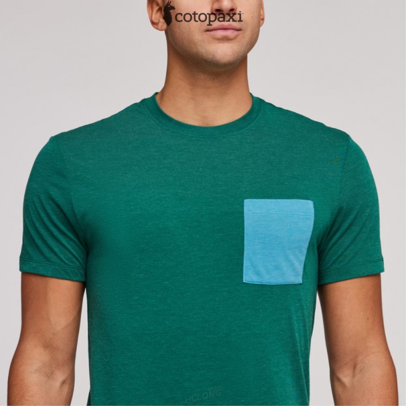 Cotopaxi Paseo Travel Pocket T-Shirt Greenery | LX45-H4-UL