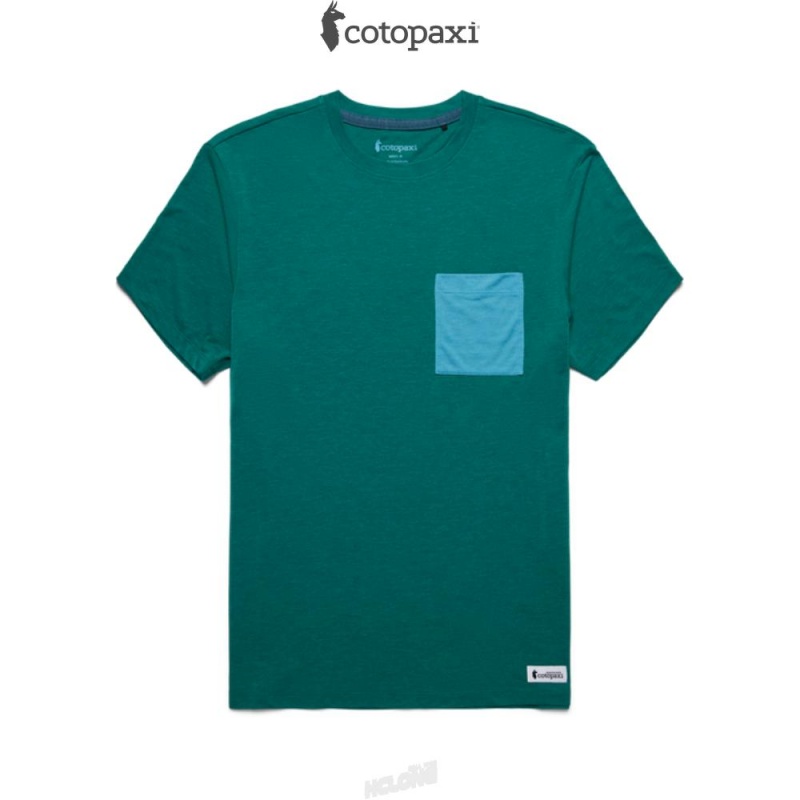 Cotopaxi Paseo Travel Pocket T-Shirt Greenery | LX45-H4-UL