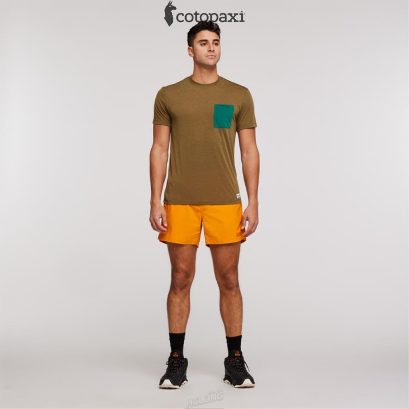 Cotopaxi Paseo Travel Pocket T-Shirt Oak | DU19-H6-PJ