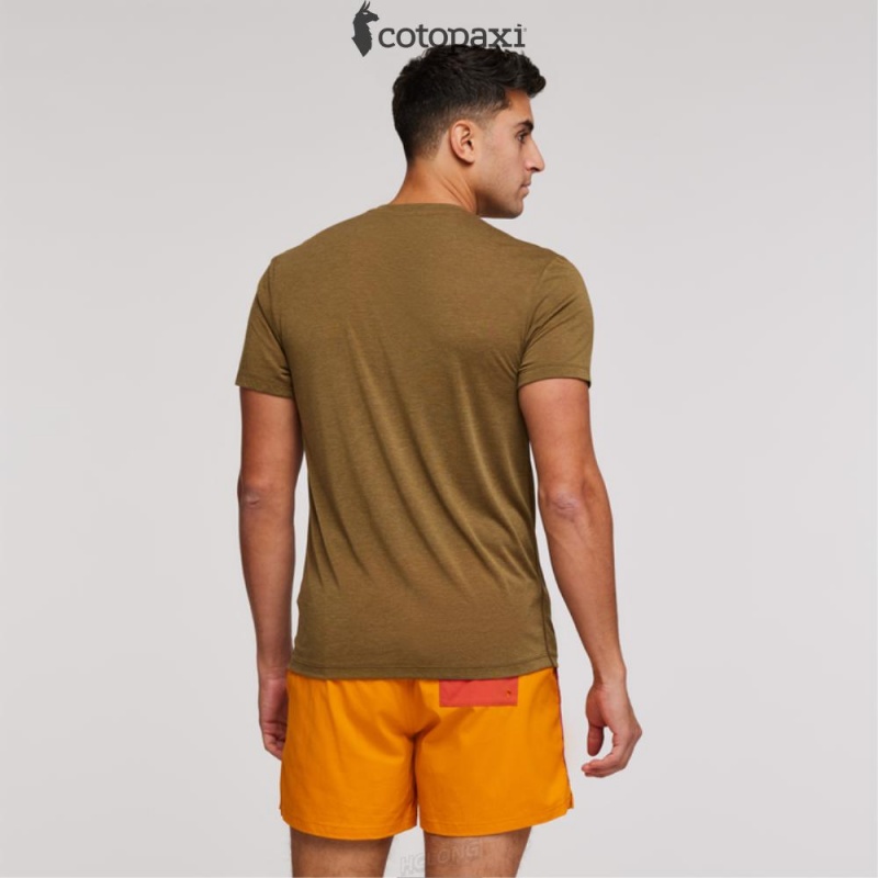 Cotopaxi Paseo Travel Pocket T-Shirt Oak | DU19-H6-PJ