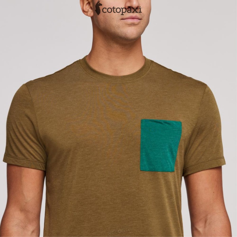 Cotopaxi Paseo Travel Pocket T-Shirt Oak | DU19-H6-PJ