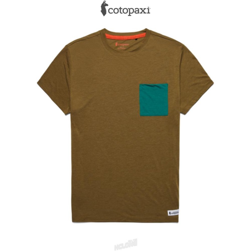 Cotopaxi Paseo Travel Pocket T-Shirt Oak | DU19-H6-PJ