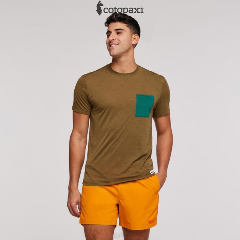 Cotopaxi Paseo Travel Pocket T-Shirt Oak | DU19-H6-PJ