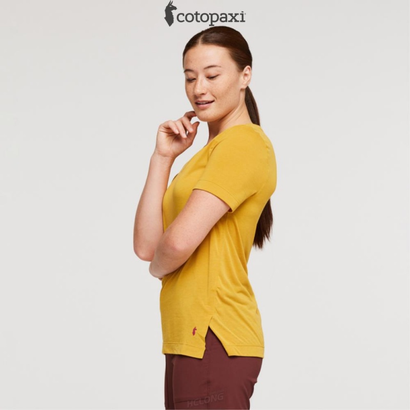 Cotopaxi Paseo Travel T-Shirt Amber | IF64-S2-LJ