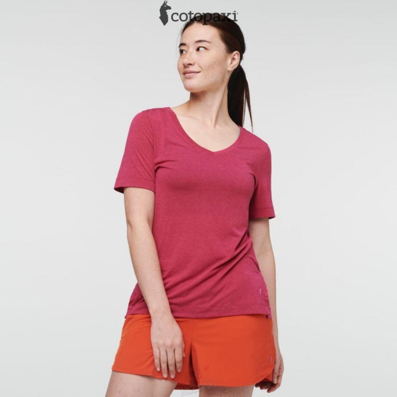 Cotopaxi Paseo Travel T-Shirt Raspberry | ZV72-D3-GI