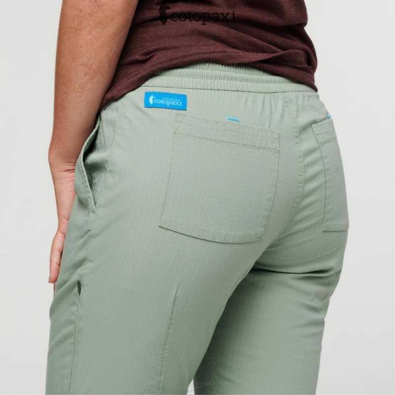 Cotopaxi Salto Ripstop Pant Silver Leaf | XE50-C3-WX