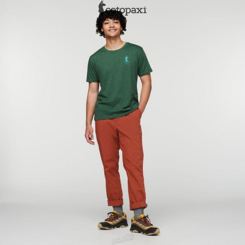 Cotopaxi Salto Ripstop Pant Spice | HA40-C8-JG