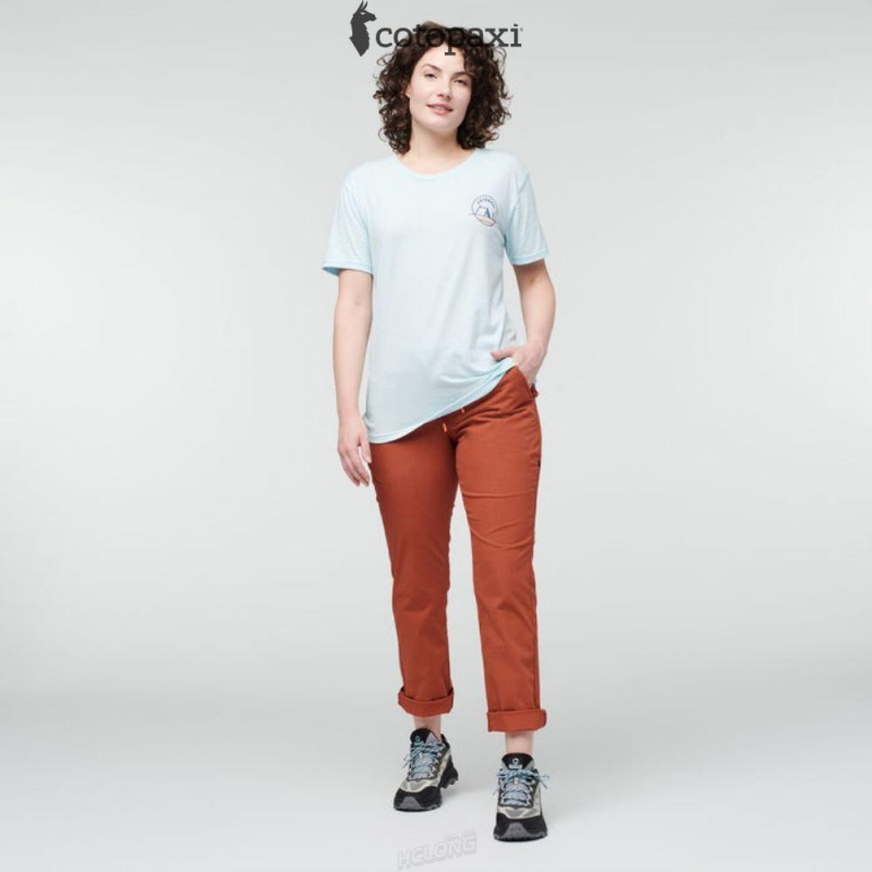 Cotopaxi Salto Ripstop Pant Spice | QZ14-Q3-PN