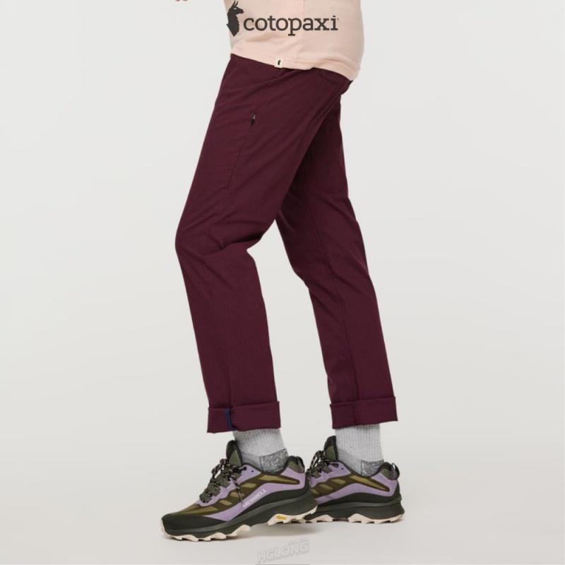 Cotopaxi Salto Ripstop Pant Wine | MQ56-M8-OE