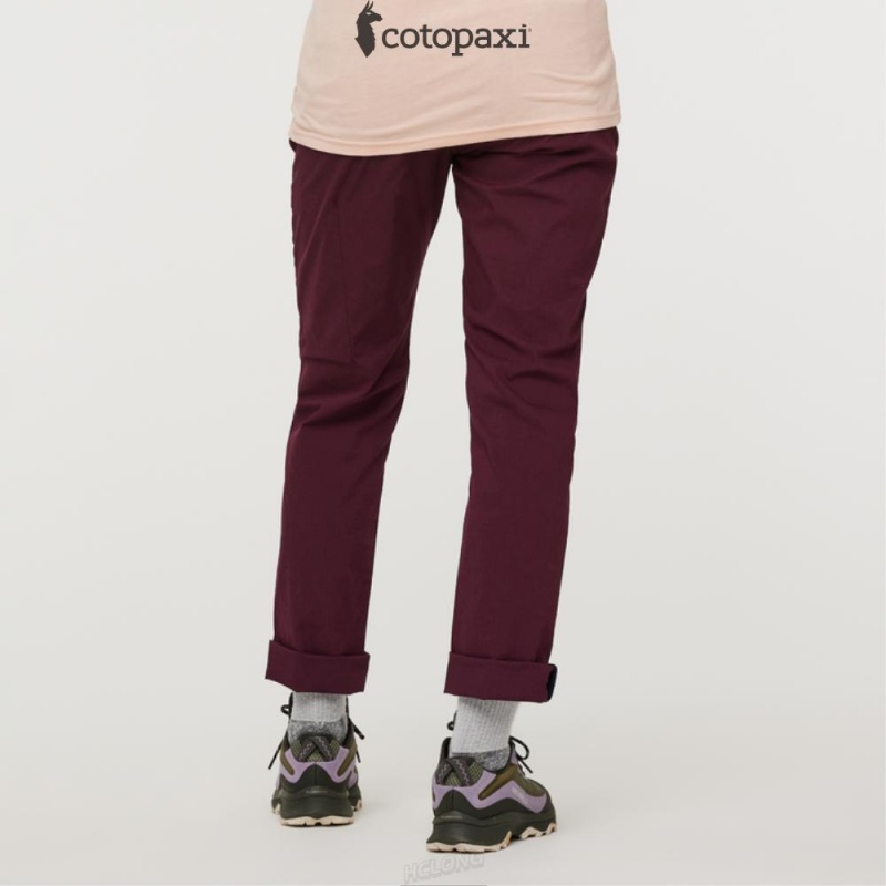 Cotopaxi Salto Ripstop Pant Wine | UM02-A1-MN