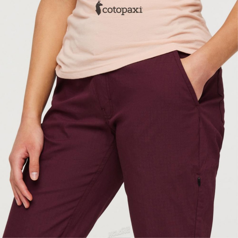 Cotopaxi Salto Ripstop Pant Wine | UM02-A1-MN