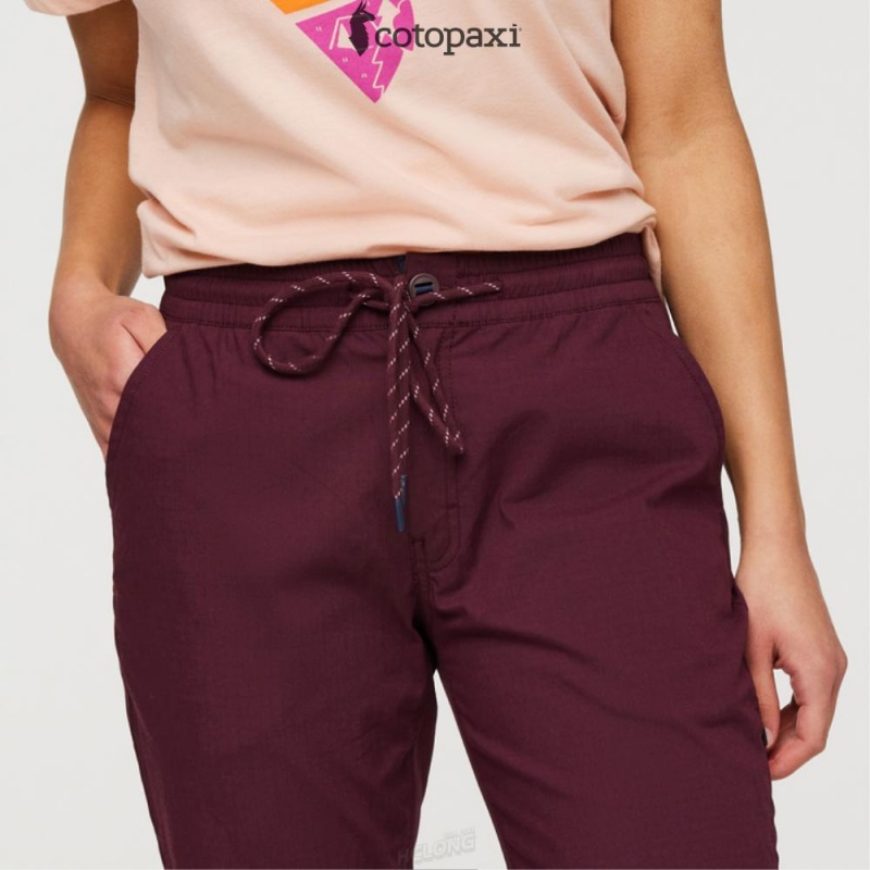 Cotopaxi Salto Ripstop Pant Wine | UM02-A1-MN