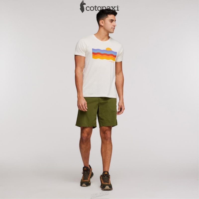 Cotopaxi Salto Ripstop Short Pine | AN55-W1-SM