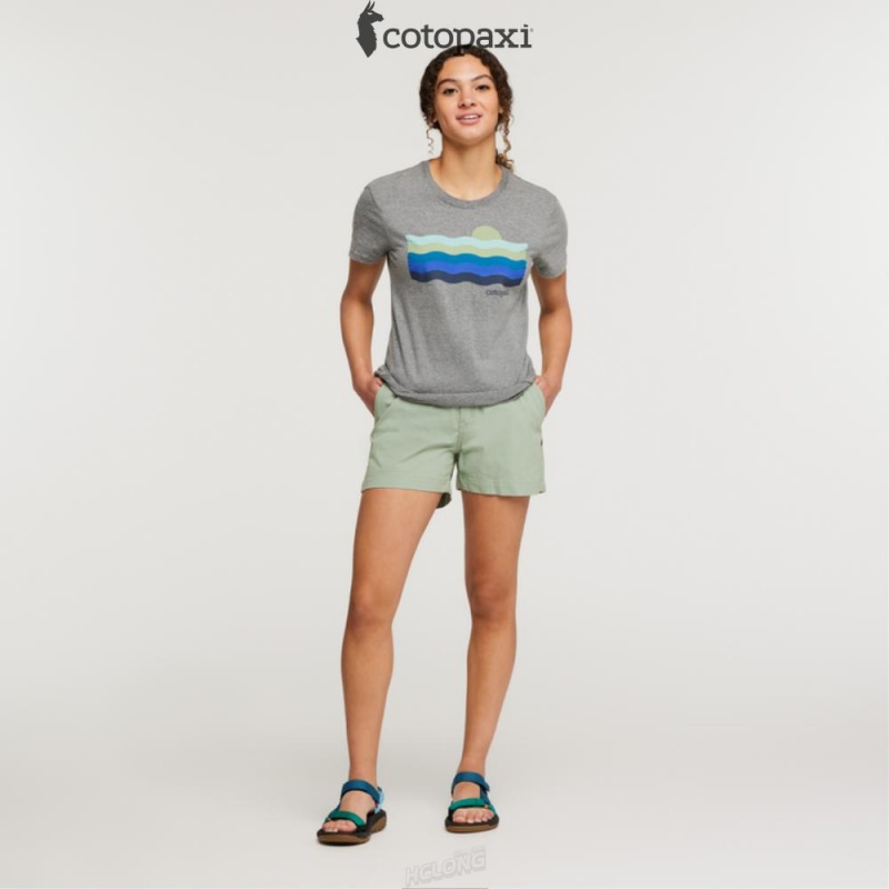 Cotopaxi Salto Ripstop Short Silver Leaf | BQ59-D2-TU