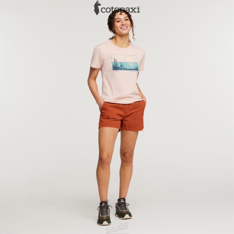 Cotopaxi Salto Ripstop Short Spice | LQ24-O0-GD