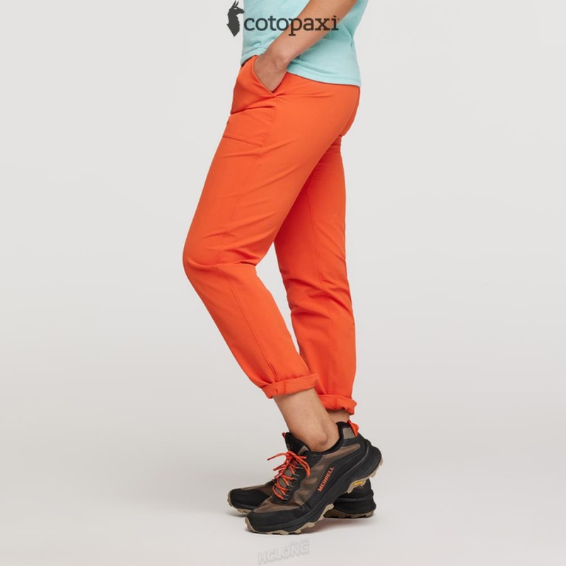 Cotopaxi Subo Pant Canyon | BP42-C5-LM