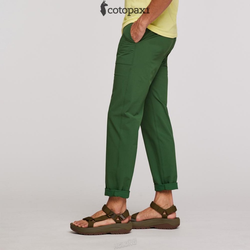 Cotopaxi Subo Pant Forest | DK42-Z7-NZ