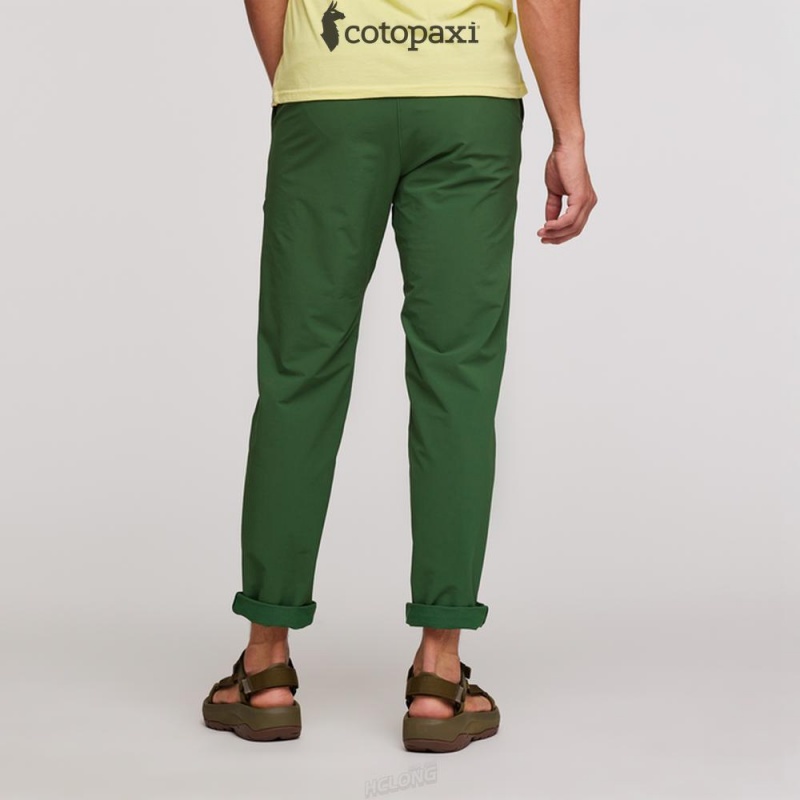 Cotopaxi Subo Pant Forest | DK42-Z7-NZ