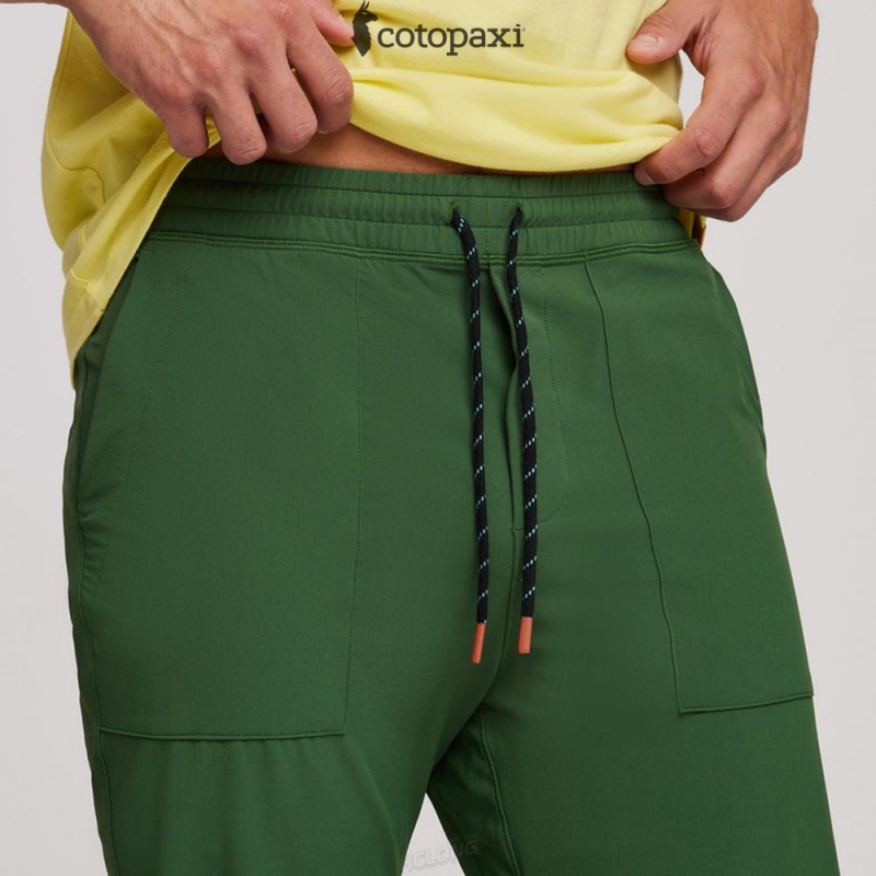 Cotopaxi Subo Pant Forest | DK42-Z7-NZ