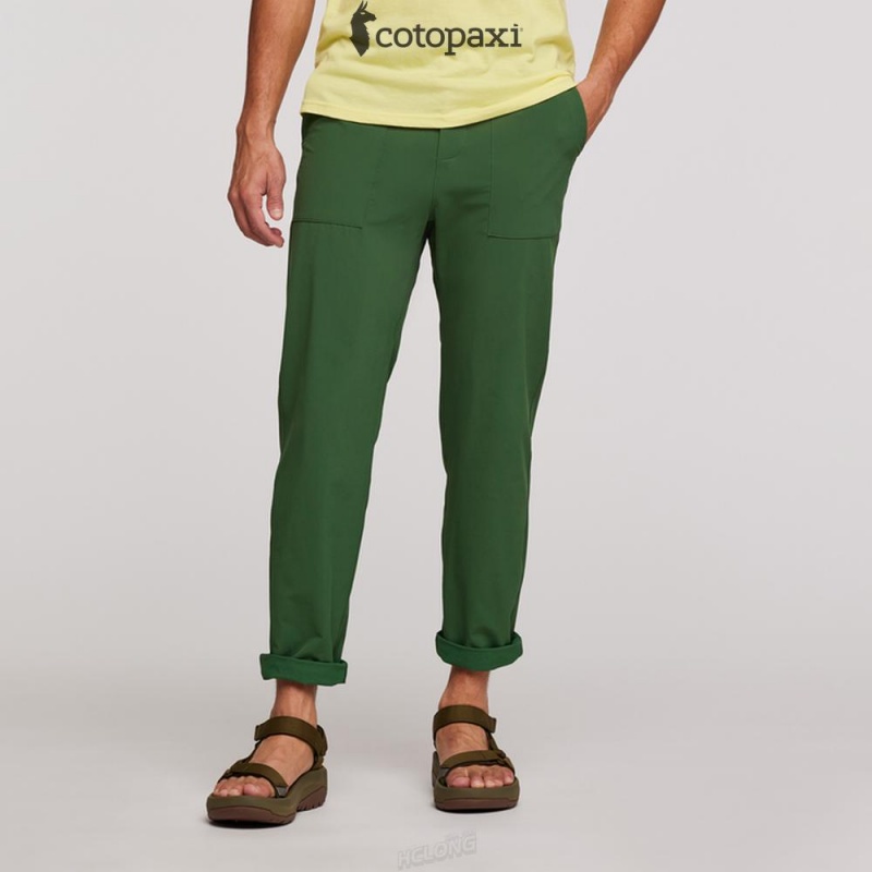 Cotopaxi Subo Pant Woods | GE35-J0-NI