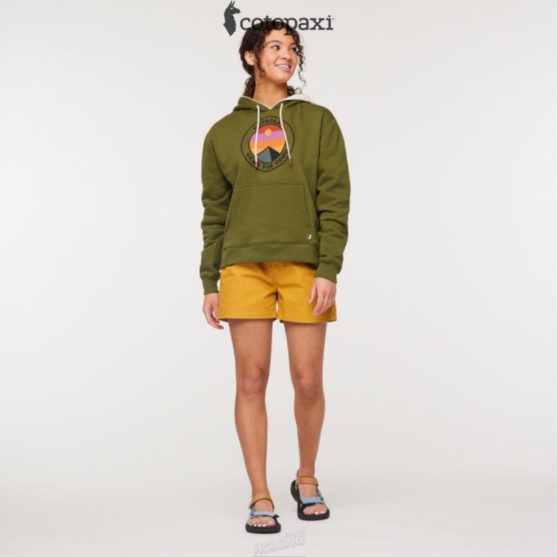 Cotopaxi Sunny Side Pullover Hoodie Pine | BZ47-Z2-RA