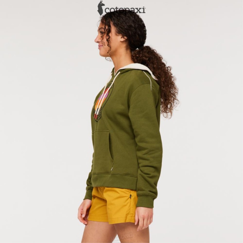 Cotopaxi Sunny Side Pullover Hoodie Pine | BZ47-Z2-RA