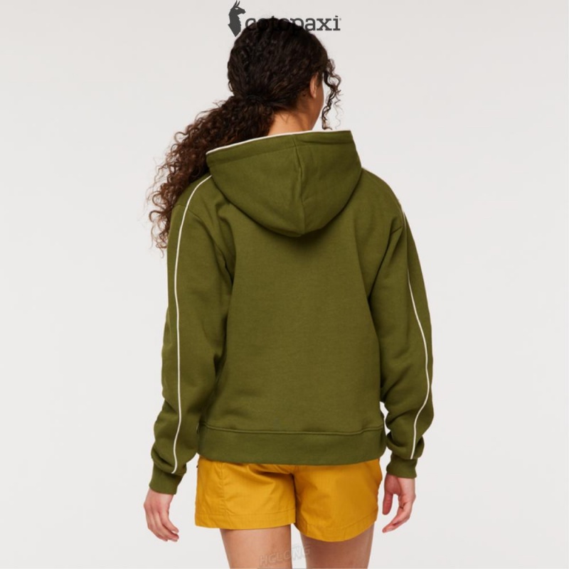 Cotopaxi Sunny Side Pullover Hoodie Pine | BZ47-Z2-RA