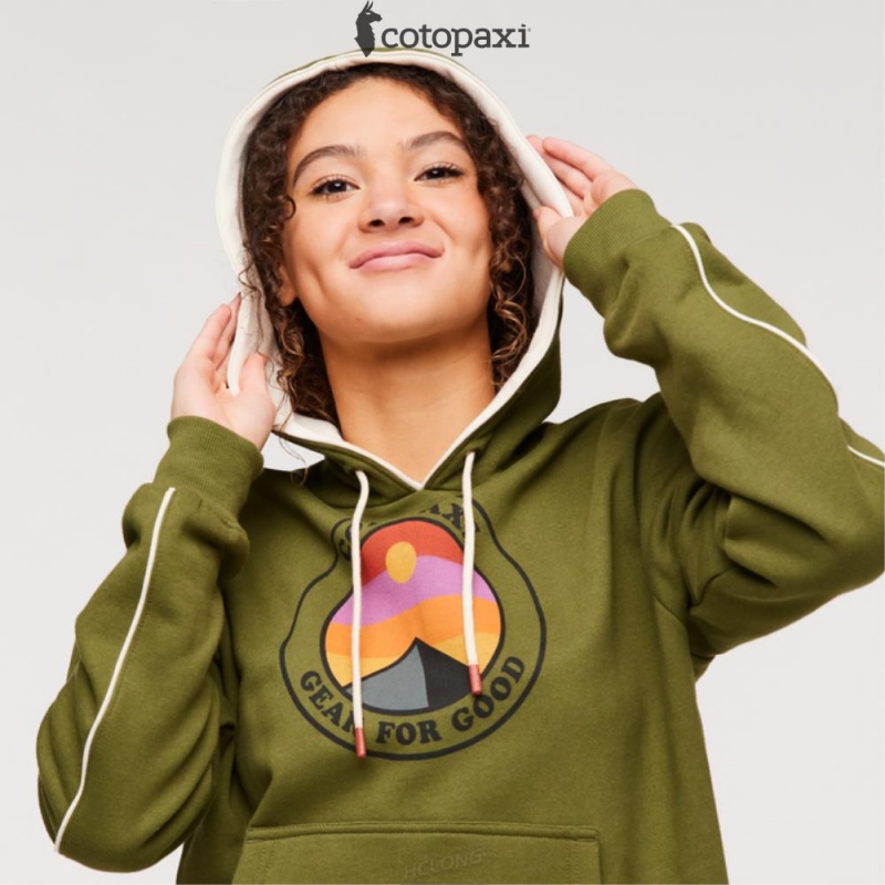 Cotopaxi Sunny Side Pullover Hoodie Pine | BZ47-Z2-RA